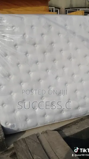 Asian Orthopaedic Spring Mattress