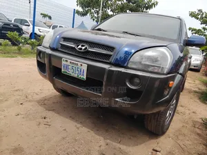 Hyundai Tucson 2007 Blue