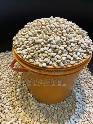 Export Standard Honey Beans(Ewa Oloyin)