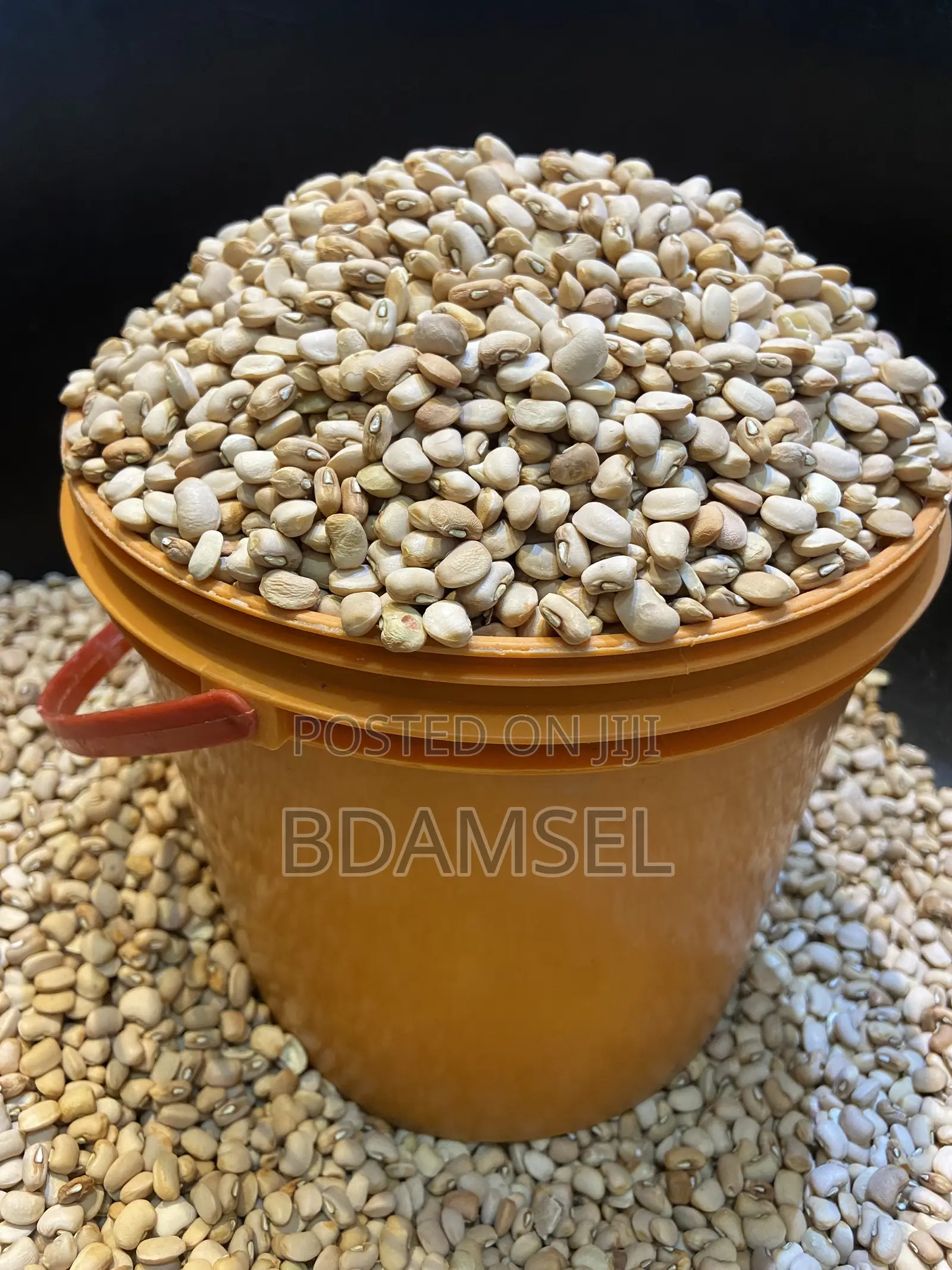 Export Standard Honey Beans(Ewa Oloyin)