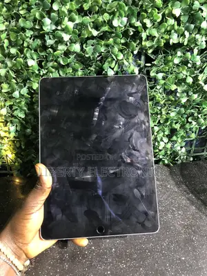 Apple iPad Air 2 64 GB Silver