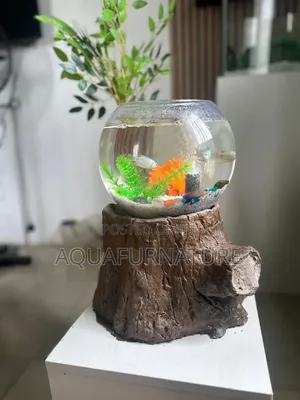 Glass Fish Bowl With Faux Tree Trunk