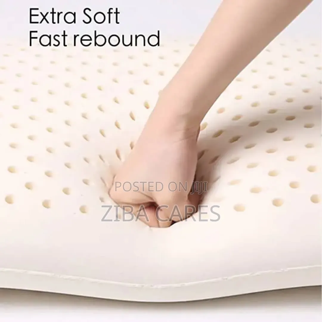 Memory Pillows Nect Protection