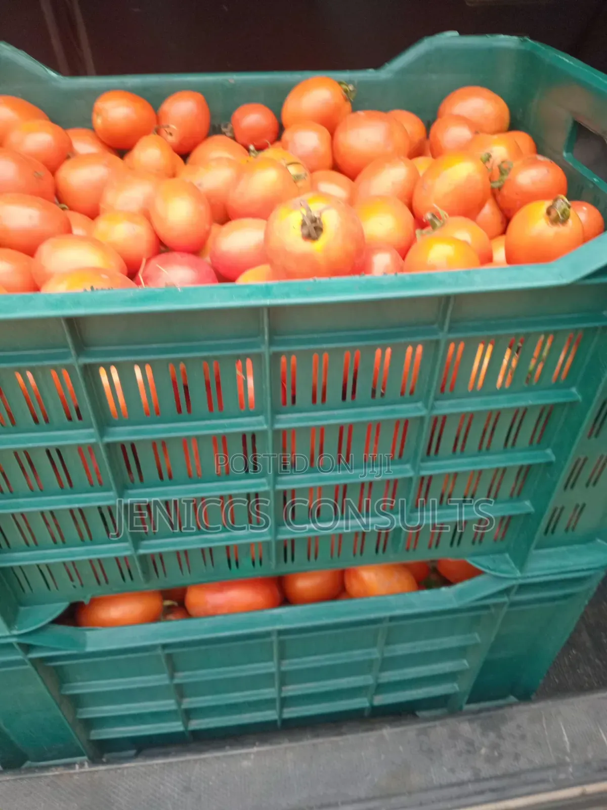 Fresh Tomatoes