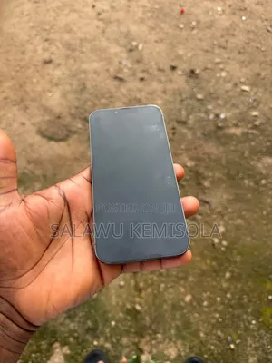 Apple iPhone 13 Pro Max 256 GB Green