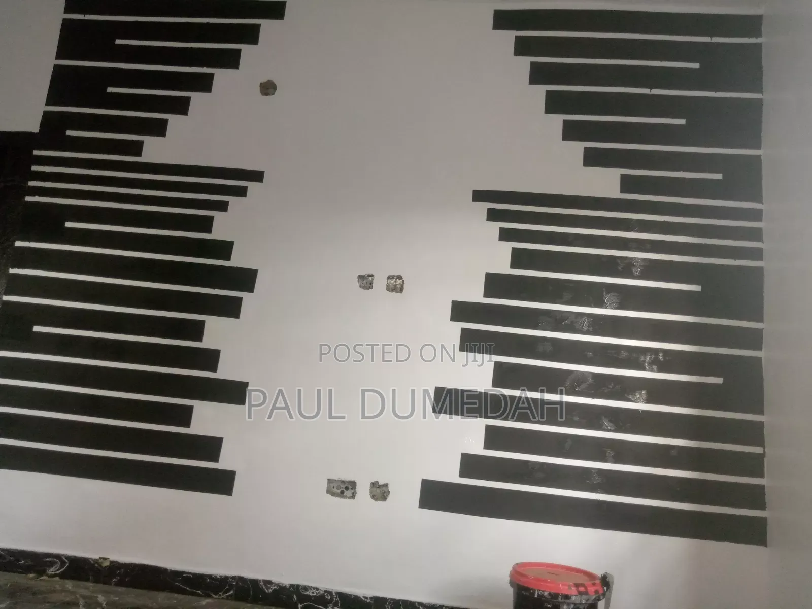 Professional Painter