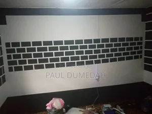 Professional Painter