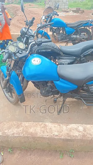 Daylong DL200-30 2023 Blue