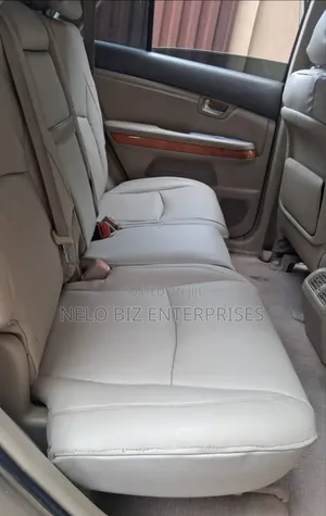 Lexus RX 330 2005 Gold