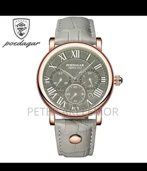 Affordable Luxury Poedagar Chronograph Leather Watch