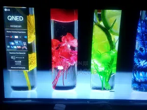 Lg Qned81 65inches