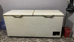 650 Liters Deeep Freezer