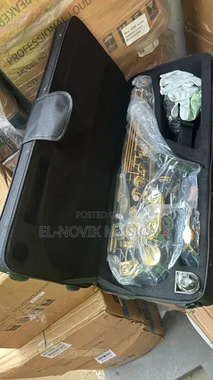 Black and Gold Alto Saxophone