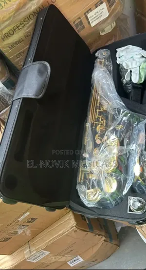 Professional Black Black Alto Saxophone