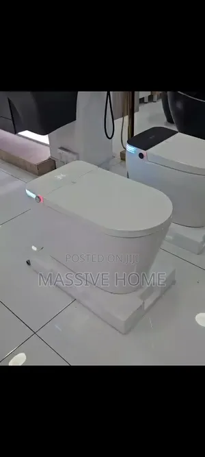 Luxury Censor Automatic Smart Wc