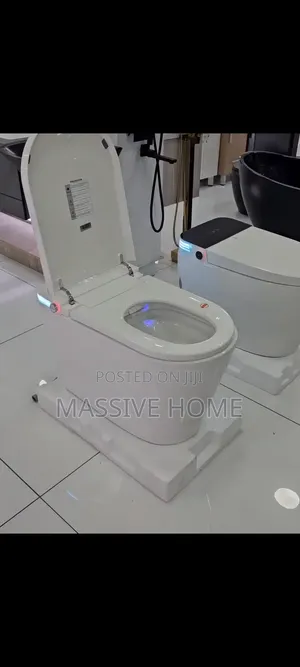 Luxury Sensor Automatic Smart Wc