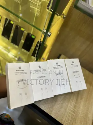 iPhone Charger