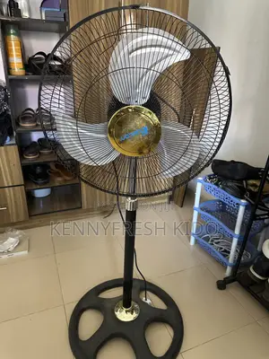 Standing Fan