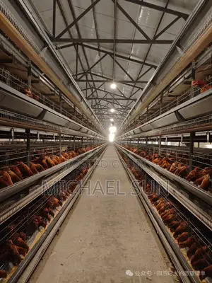 Fully Automatic Chicken Cages Battery Cages Poultry Cage