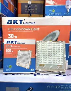 Akt 100 Watts Flood Water Proof Light