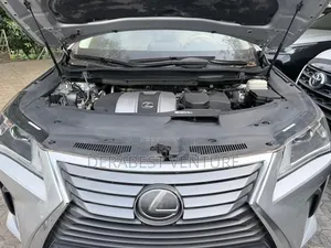 Catcher Plastic/Radiator Plastic Rx350 2017-2020