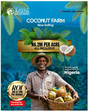 Own Acoconut Farm and Resort and Earn Big