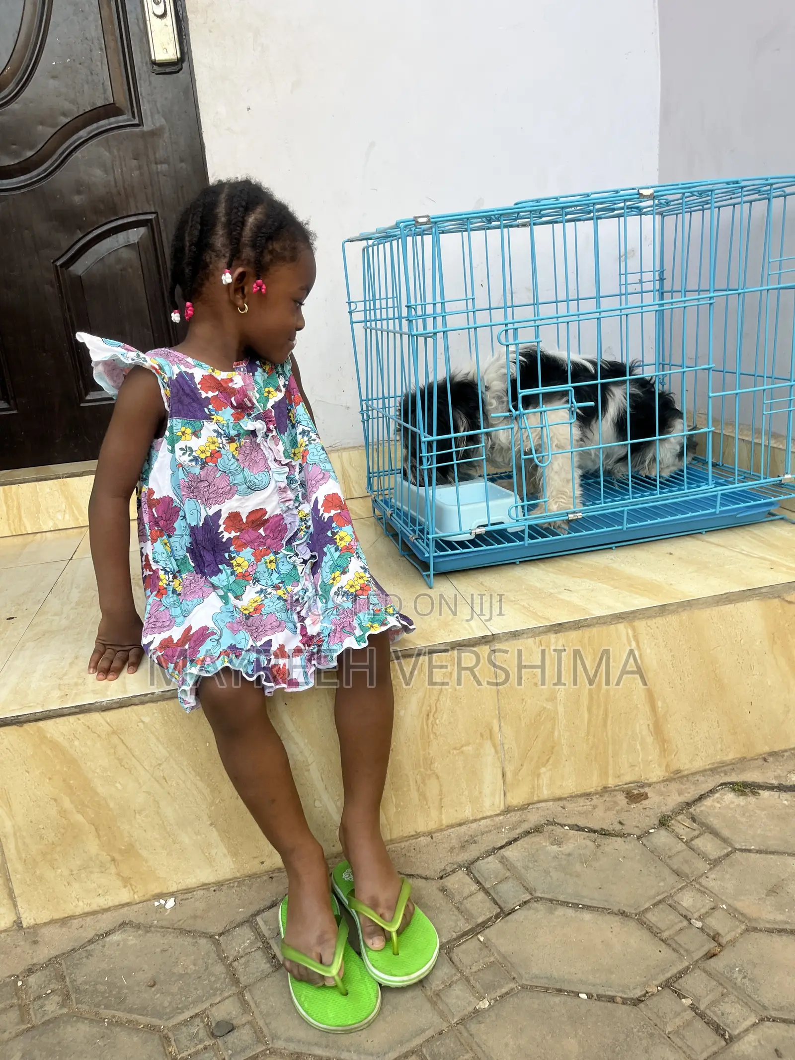 Collapsible Dog Cage