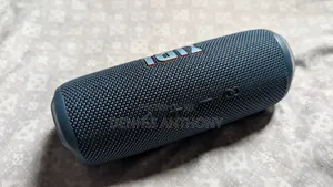 JBL Flip 6 (3 Months Old)