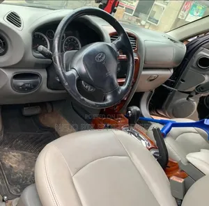 Hyundai Santa Fe 3.5 Limited 4WD 2006 Gray