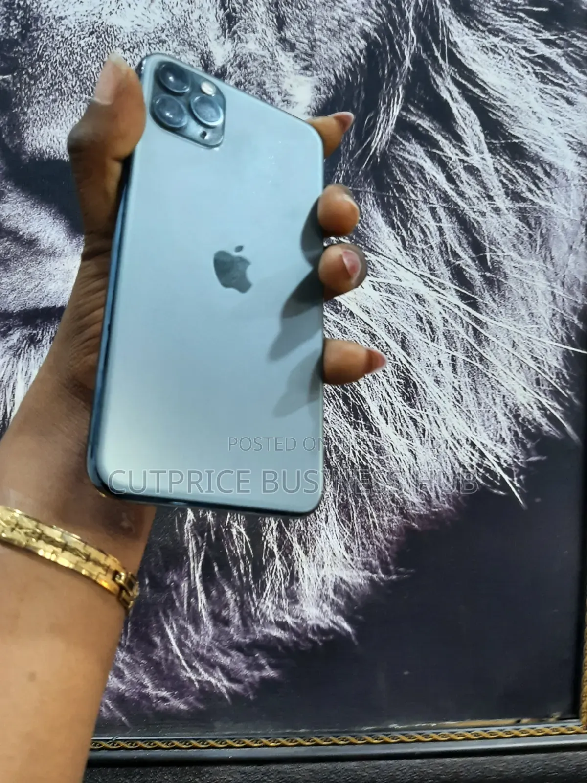 Apple iPhone 11 Pro Max 64 GB Gray