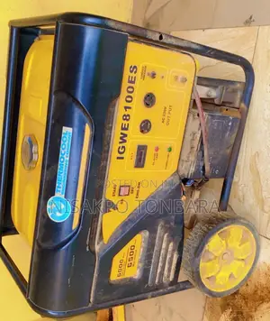 Thermocool Generator Igwe 8100es