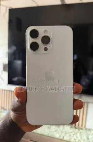 Apple iPhone 15 Pro Max 256 GB Silver