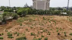 4800sqm of Commercial Land for Sale in CBD Abuja