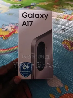 Samsung Galaxy A17 128 GB Gray