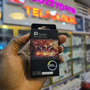 Turxun 256gb SSD Drive