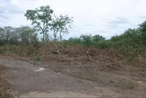 Cidom Estate Ogbeke