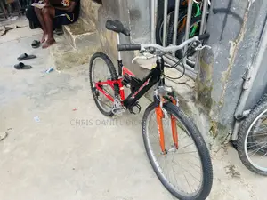 Mountain Adult Big Bicycle / Alaba International Market