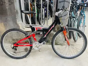 Mountain Adult Big Bicycle / Alaba International Market