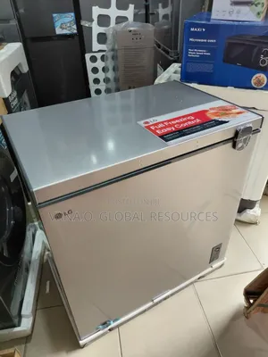 Lg Inverter Friendly Stabiliser Free Freezer