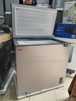 Lg Inverter Friendly Stabiliser Free Freezer