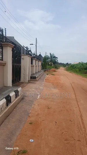 100by100 at Sapele Road Peanut