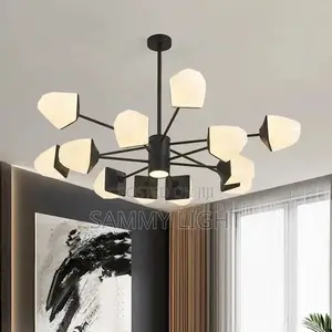 16 Hands Light Best Quality