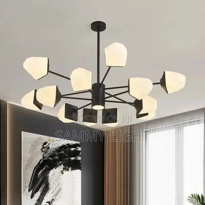 16 Hands Light Best Quality