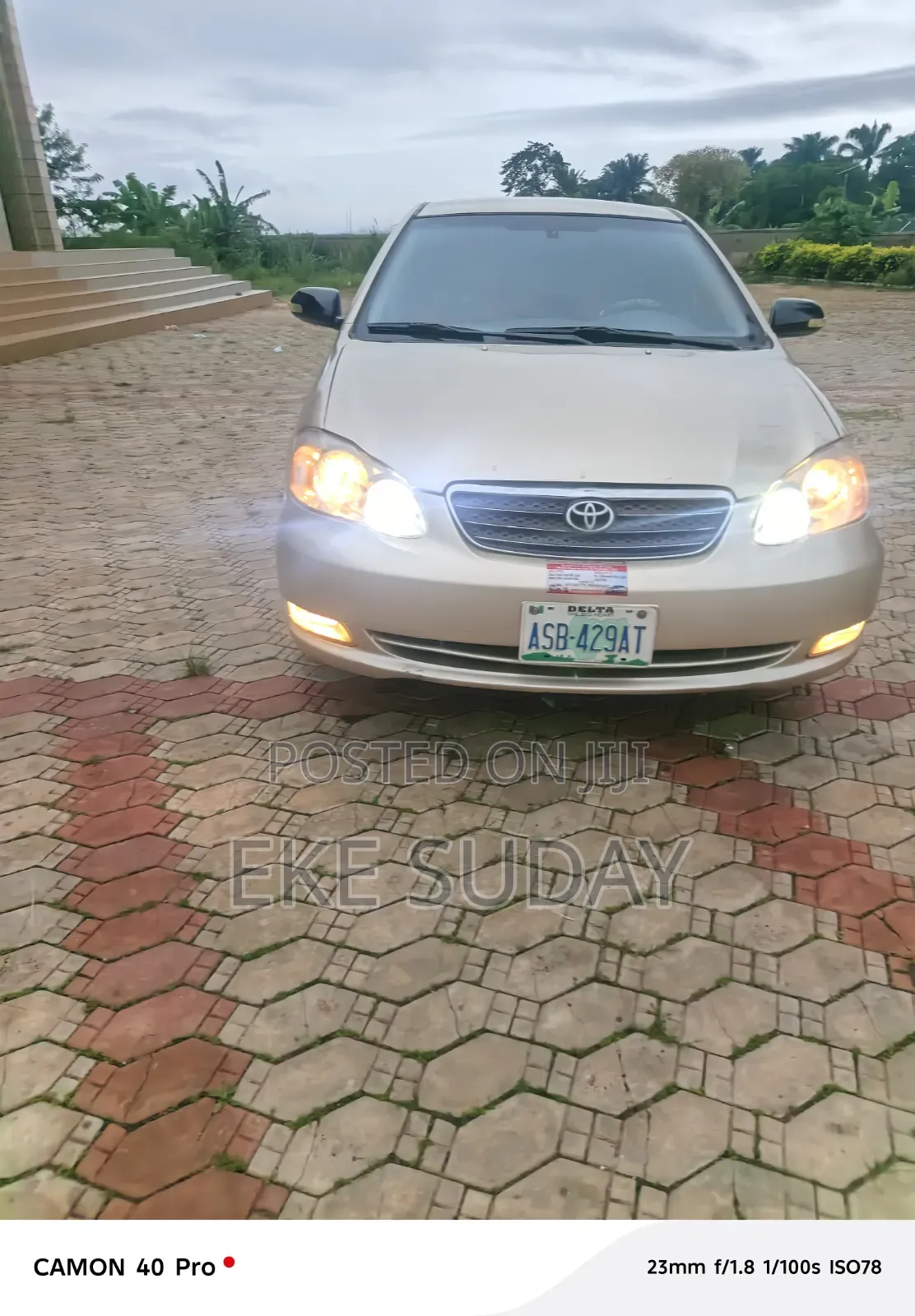 Toyota Corolla LE 2004 Gold