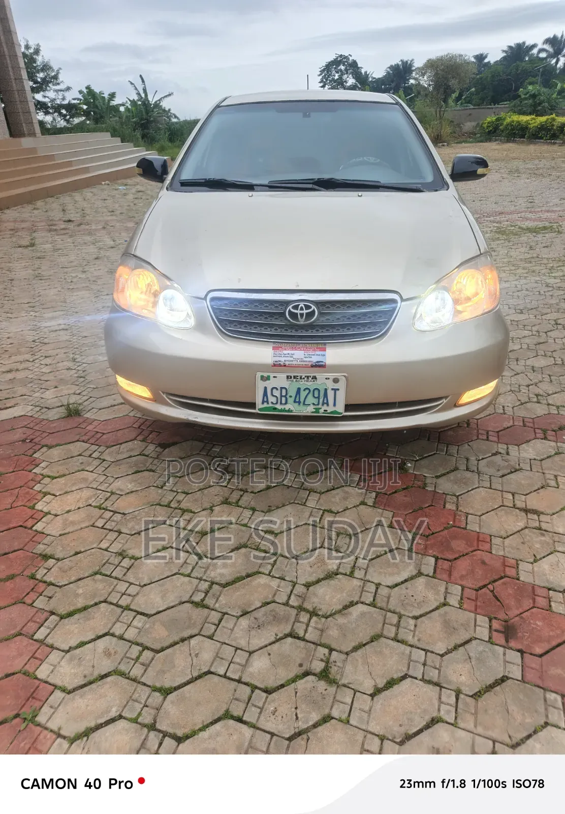 Toyota Corolla LE 2004 Gold