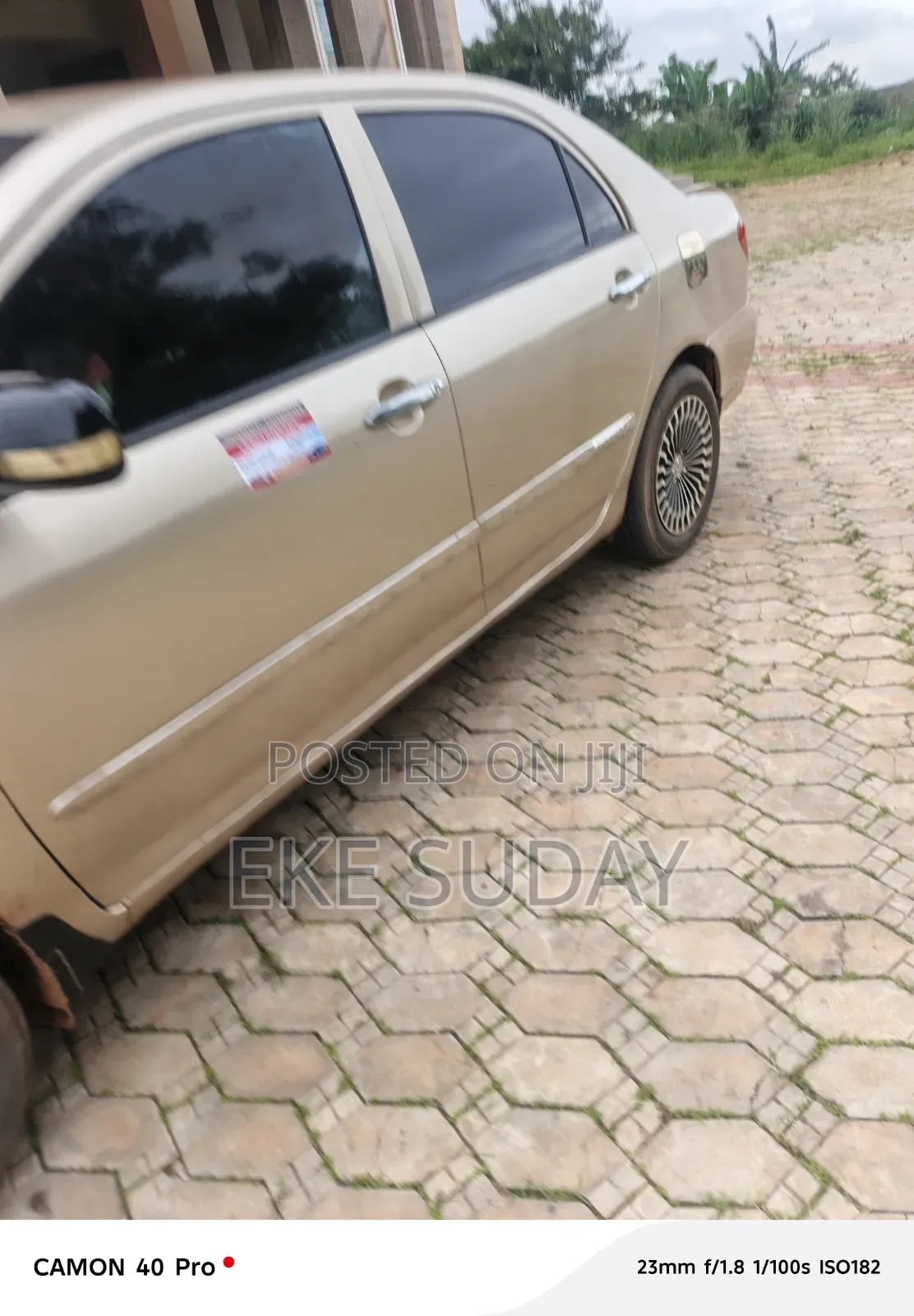 Toyota Corolla LE 2004 Gold