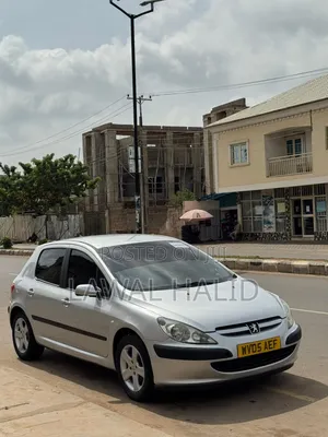 Peugeot 307 2005 Silver