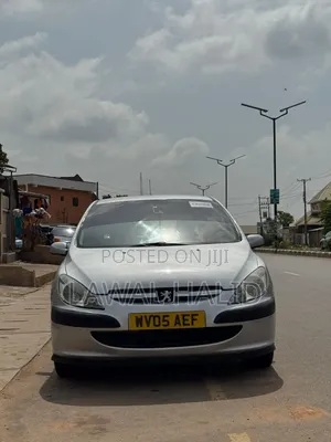 Peugeot 307 2005 Silver