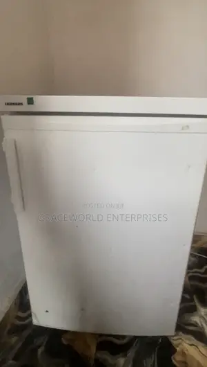Portable Super Cooling Fridge + Freezer