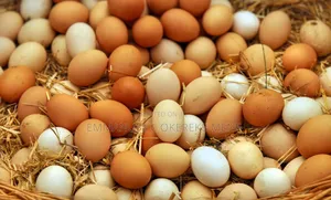 Farm Fresh Eggs